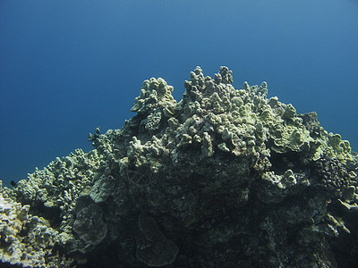 太平洋上的珊瑚礁山图片
