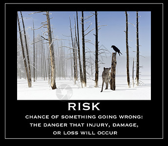 狼和乌鸦风险出错的可能图片