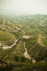 山西省山区的重新造林区图片