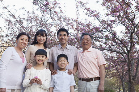 一个微笑的多代家庭的肖像在樱桃树之间和享受公园在春图片