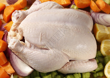 生新鲜全鲜全鸡和蔬菜在炖或锅背景图片