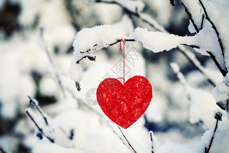 冷心清纺织品心脏挂在一片雪覆盖背景
