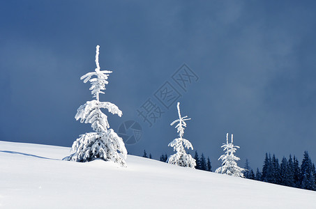 冬季风景有雪覆图片