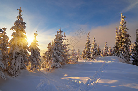 山谷森林的冬季风景雪中的道图片