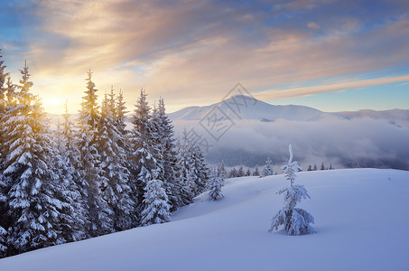 冬季山上美丽的日出图片