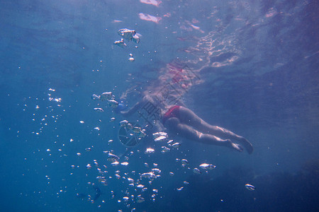 红比基尼在海中上下潜水前景图片