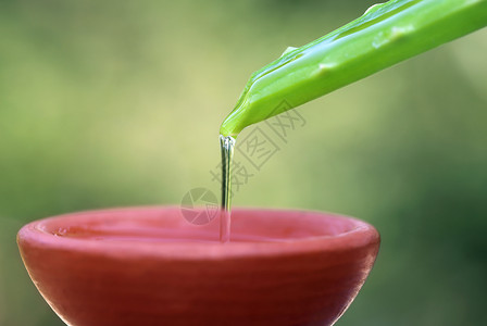 落在棕色碗上的芦荟提取物图片