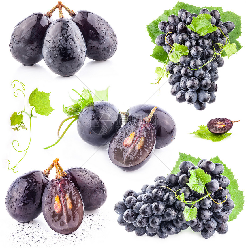 带有叶子的成熟黑葡萄的集合图片