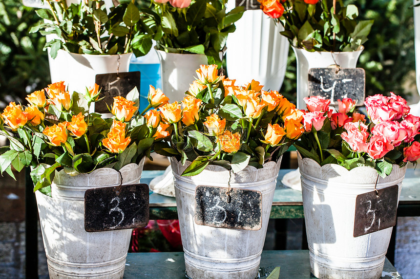 市场上花店里五颜六色的花图片