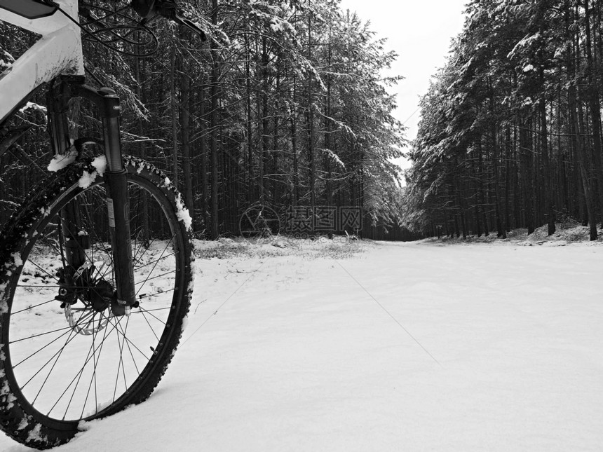 山地自行车前轮和部分车架在森林路上的第一场雪中图片