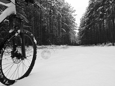 山地自行车前轮和部分车架在森林路上的第一场雪中图片