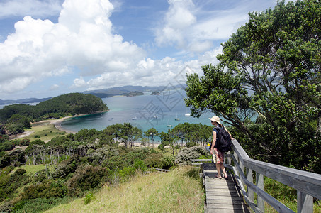 岛屿湾罗伯顿岛上的游客它是新西兰最受欢迎的钓鱼航海和旅图片