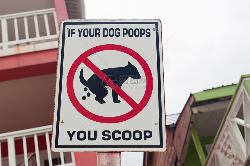 一个滑稽的标志提醒狗主人他们有责任在伯利兹圣佩德罗的海滩上图片