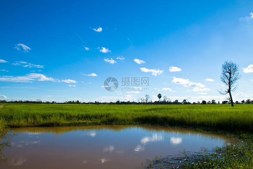 阳光明媚的夏日运河景观图片