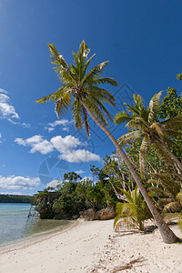 热带天堂波利尼西亚岛海滩图片