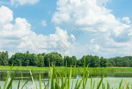 自然河流景观自然系列图片