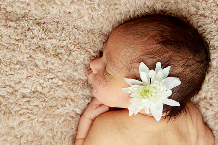 新生儿睡着的婴儿的肖像图片