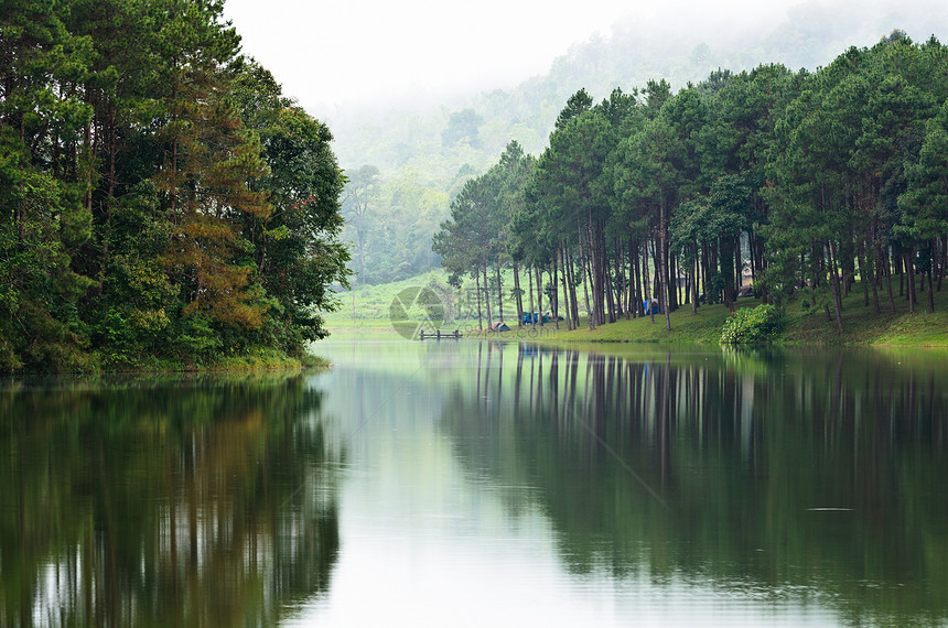 美丽的自然景观松树绿林映在水面上图片