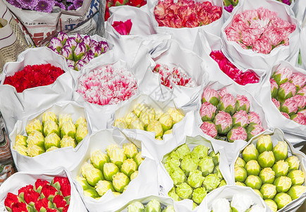 花卉市场的鲜花图片