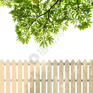 绿叶背景的白色栅栏图片