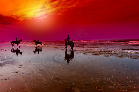 荷兰北海沿岸的舞马日落图片