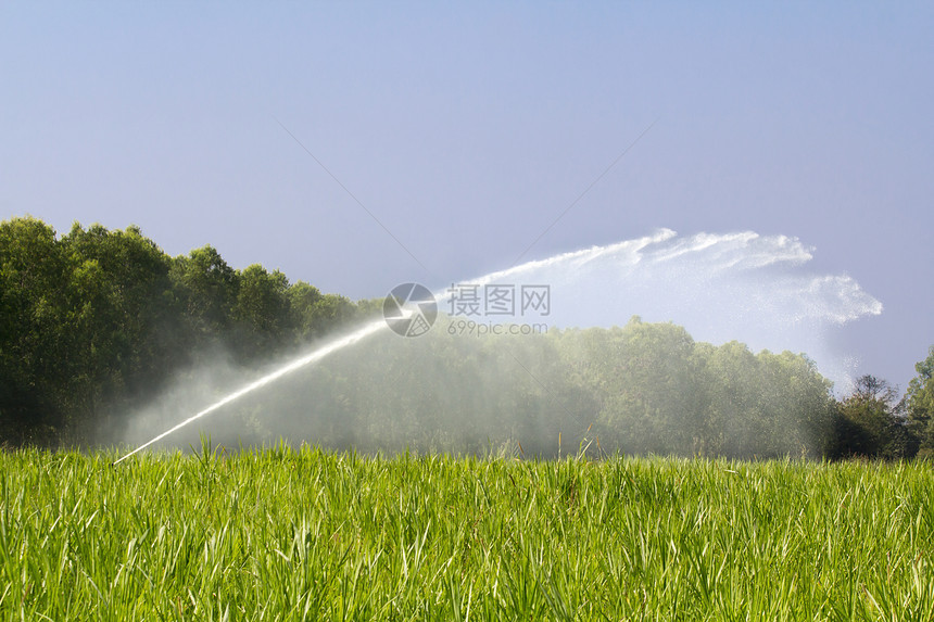 洒水头在农场浇草图片