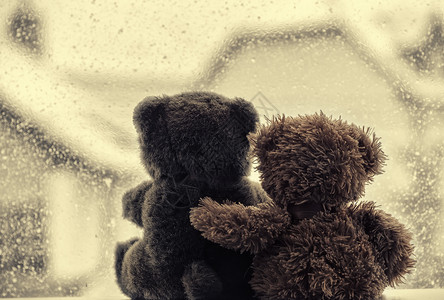 熊在爱的怀抱里坐在窗前图片