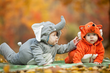 两个男孩婴儿穿着秋天公图片