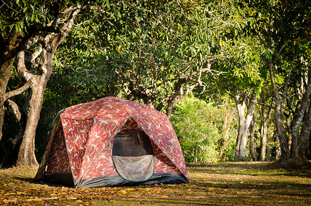 清晨泰国山顶露营帐篷的风景图画图片