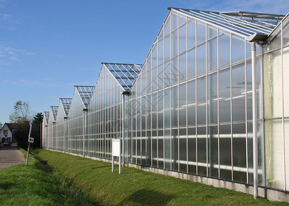 荷兰的农业温室图片