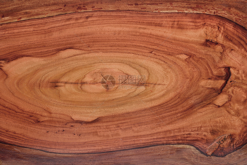切割树干的木质纹理图片