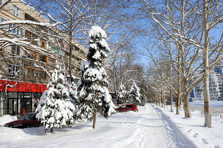 城市住宅区的雪冬图片