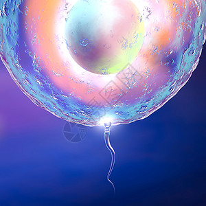蓝色背景上的卵子和精子图片