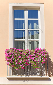 有花的老意大利阳台图片