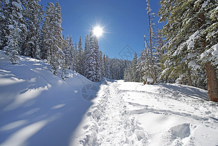 科罗拉多州的雪地轨迹之路寒冷图片