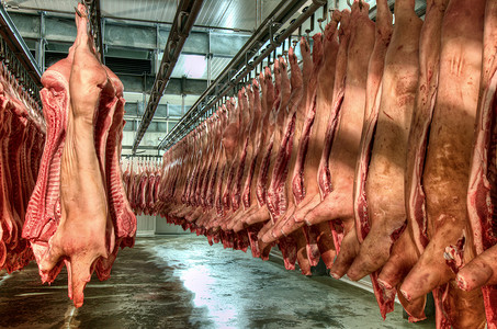 冷切工厂的鲜肉猪图片