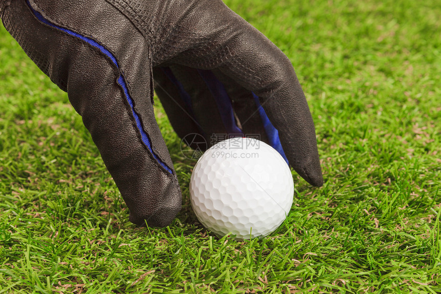 高尔夫高尔夫球在草地闭合时图片