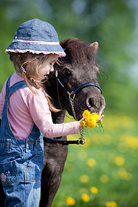 草地里有蒲公英和小马的孩子图片