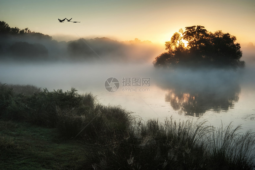 美丽的秋天的鸟类风景在雾覆图片