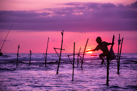 斯里兰卡的传统高跷渔民图片