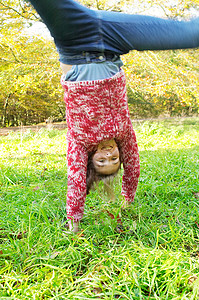 年轻的少女在秋天季公园森林的绿草上做侧手翻图片