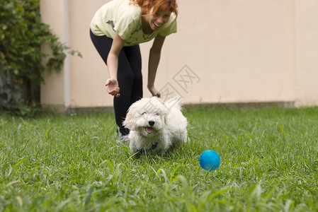 女孩和她的狗玩户外游戏扔球来接球图片