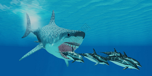 新生代一只巨大的巨型鲨鱼在一条纹插画