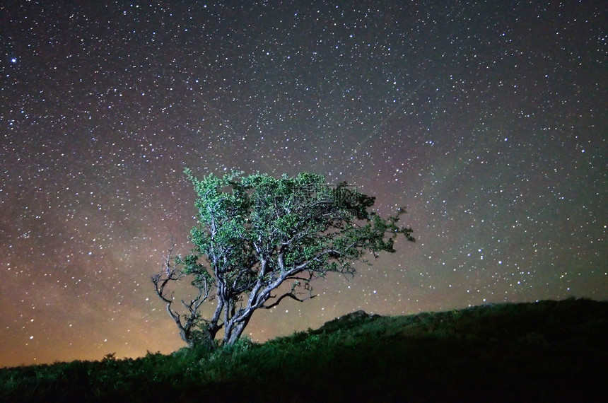 星空背景下的夜景孤树图片