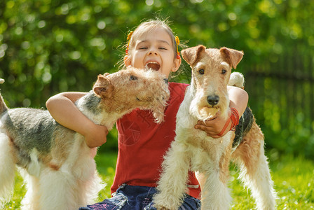 小女孩带着两只小狗在绿草图片