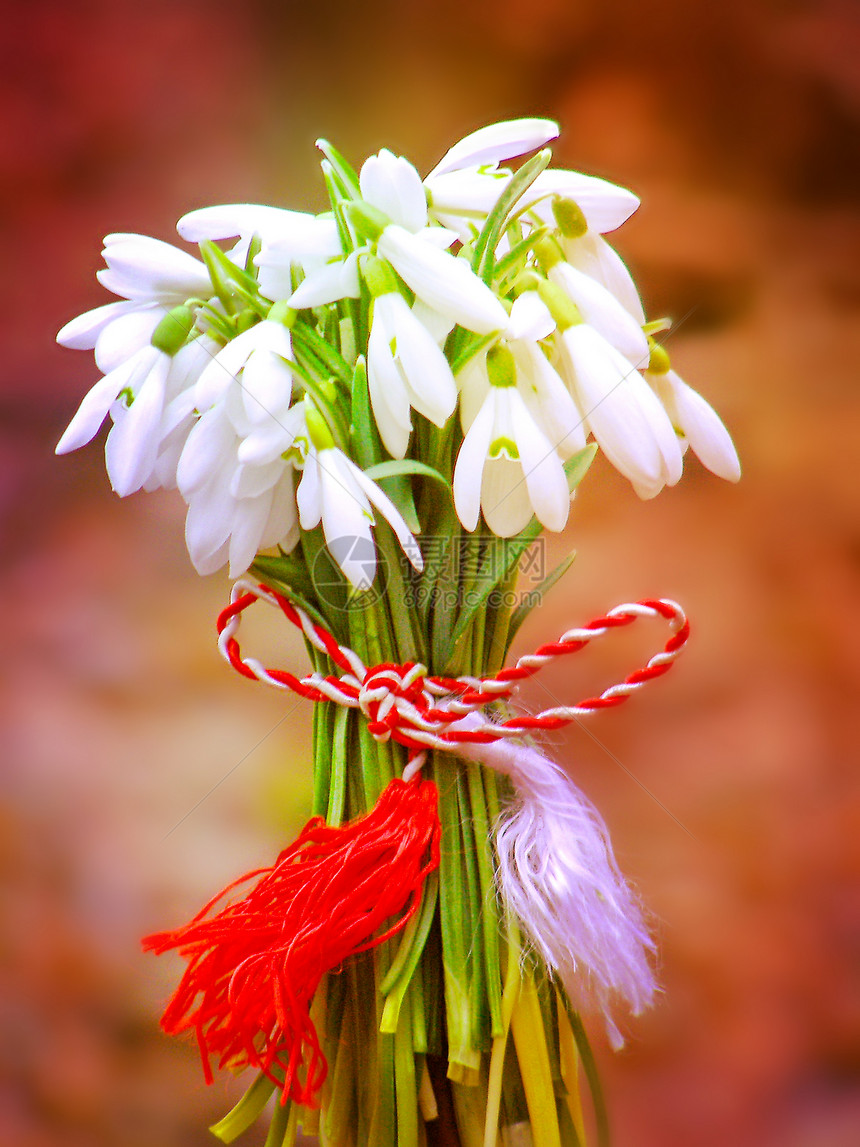 雪水花束与小曲图片