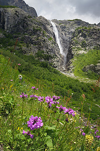 山上和大瀑布中美丽的花朵摇摆不定图片