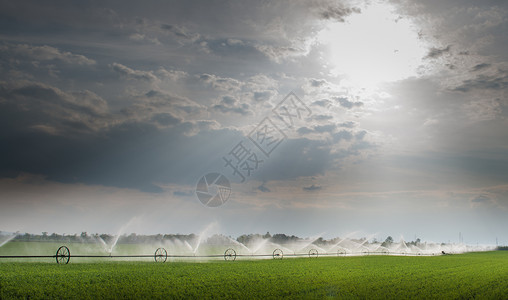 轮线上的灌溉喷头浇水图片