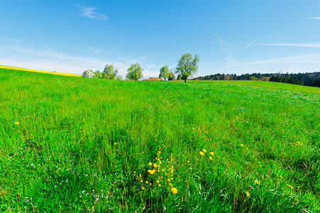 瑞士农舍周围的绿色牧场图片
