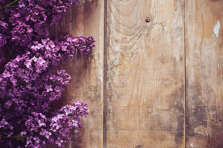 木板上的丁香花束图片